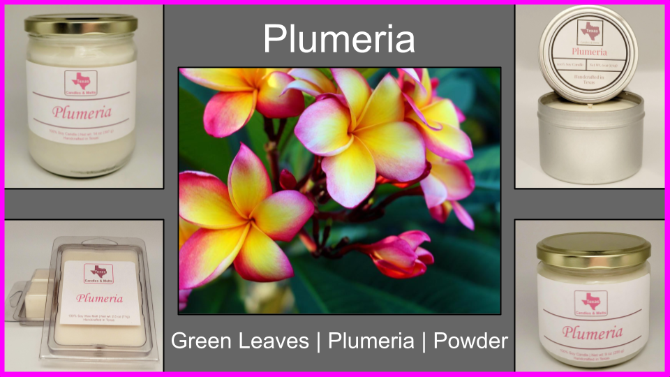 Plumeria