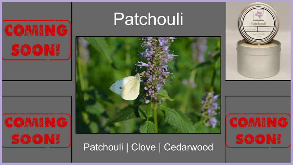 Patchouli